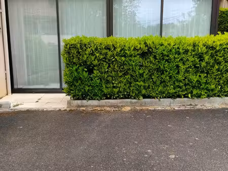 location t1 bis curistes