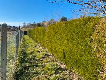 terrain avec cu