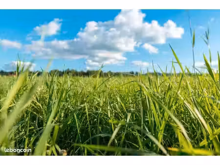terrain 720 m² lacanau