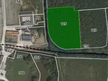 vente 1hectare de bois