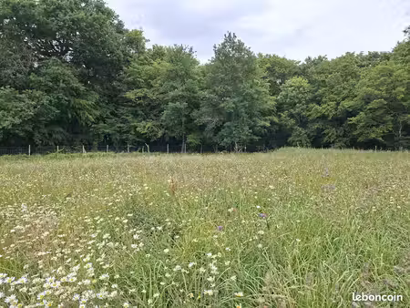 terrain à bâtir de 550 m² à saint-denis-de-pile (33)