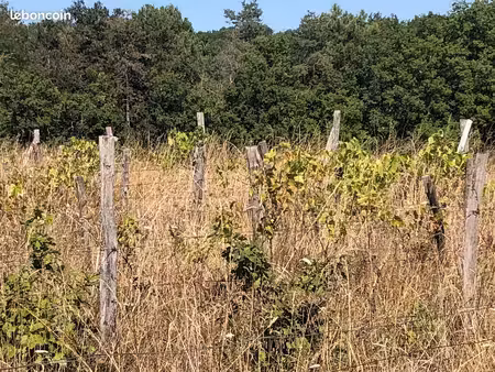 terrain agricole
