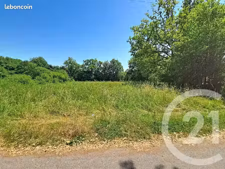 terrain 2 305 m² lestelle de saint martory