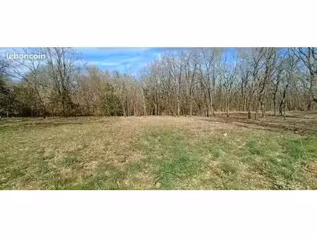 terrain 1 200 m² montaigut sur save