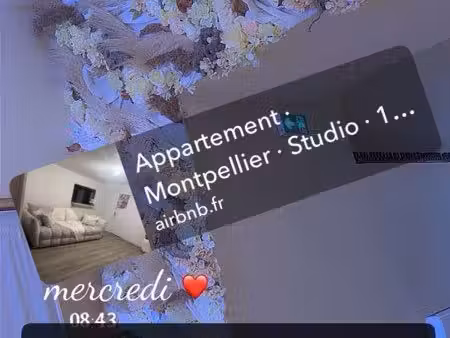 t2 location appartement