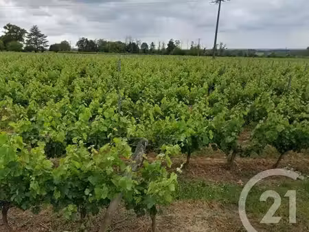 propriété viticole 2 pièces 350 m²