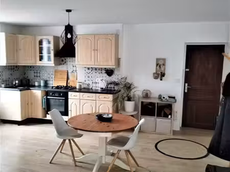 lumineux t2 40 m2 centre vienne = 650