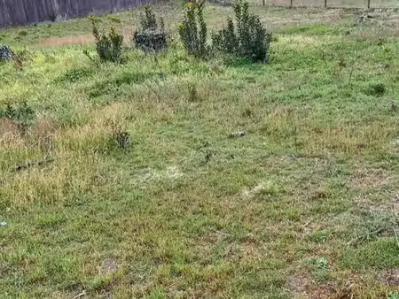 terrain 300 m² begles