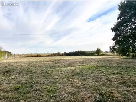 terrain constructible