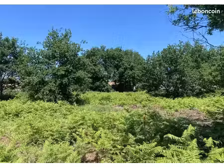 terrain à bâtir de 350 m² à gastes (40)