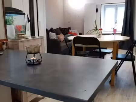 t2 meublé 37m2 - saint-romain-le-puy