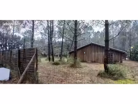 grand bâtiment en bois en forêt