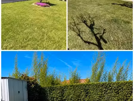 fonsorbes – maison t6 120 m² + piscine + terrain 900 m²