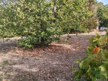terrain à bâtir