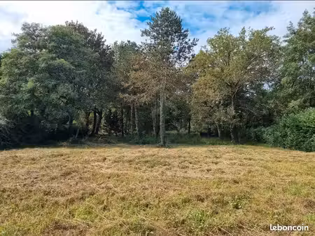 vend terrain 11000m2 dont 905 m2 constructible