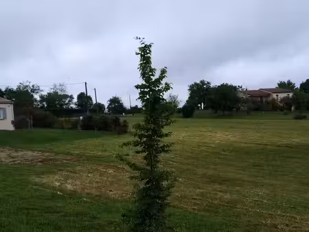 terrain à bâtir viabilisé à lhospitalet 46170