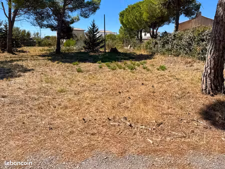 terrain 1 138 m² marseillan