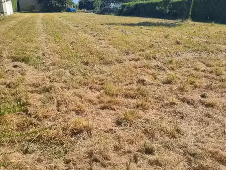 terrain constructible