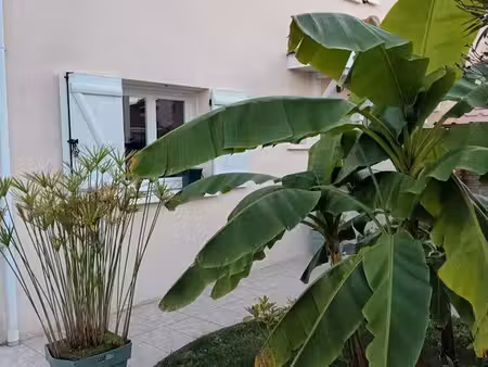maison 7 pièces 127 m2