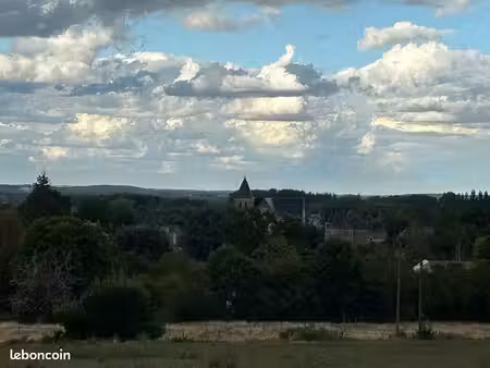 terrain boisé