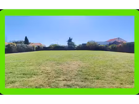 terrain constructible