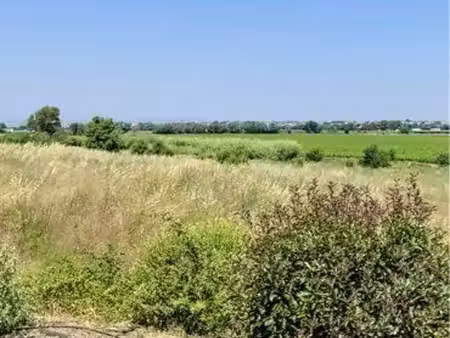 terrain 5000m2