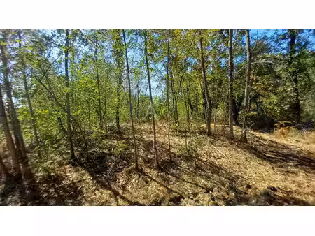 vente terrain  3824.00m²  sainte