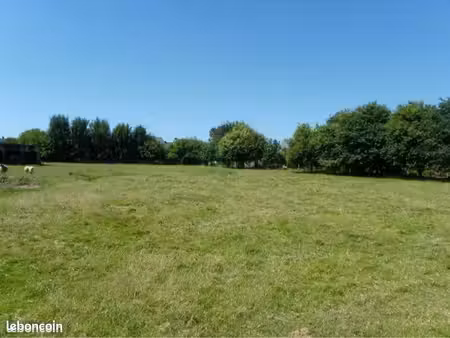 cherche terrain constructible