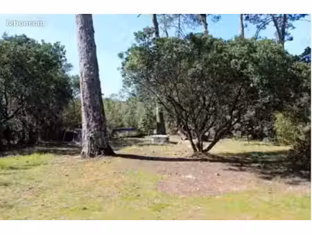 terrain boisé de plus de 1150 m2 avec permis obtenu et purgé