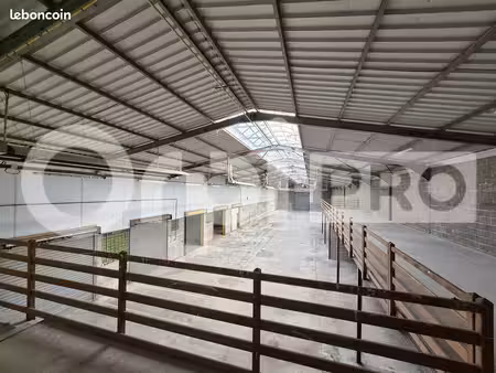 local d'activité 1 350 m²
