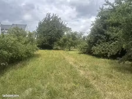 terrain 1 051 m² grosbliederstroff