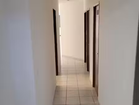 appartement plein centre ville