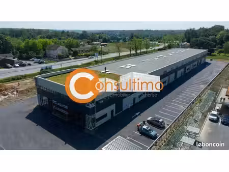 local d'activité 311 m²