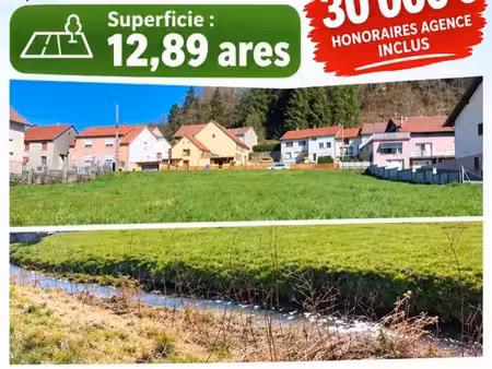 terrain à vendre walscheid