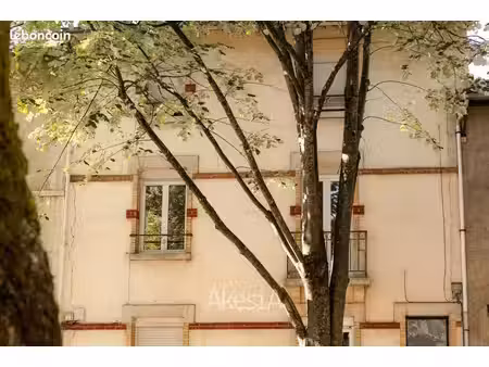 immeuble 150 m² nancy