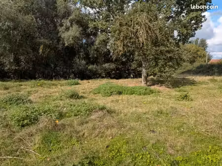 terrain 1100 m² vendegies sur ecaillon