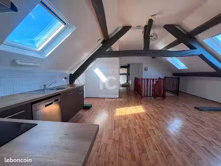 duplex 3 pièces 50 m²