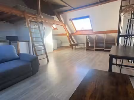 studio 1 pièce 25 m²