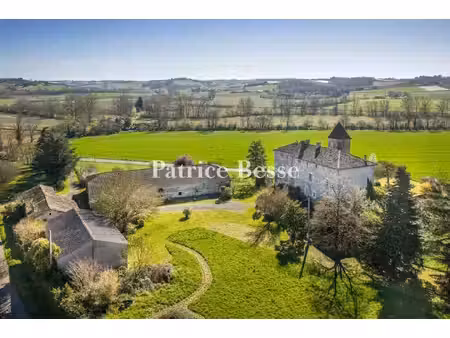 château à vendre