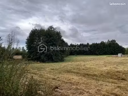 terrain 1 000 m² raveau