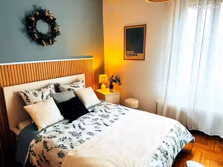 magnifique appartement en colocation meublé