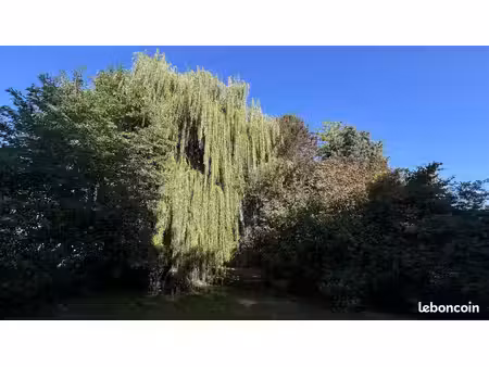 maison 7 pièces 195 m²