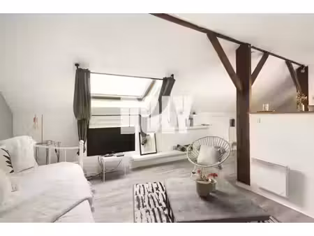 appartement | 41 avenue victor hugo  saint-maur-des-fossés 94100