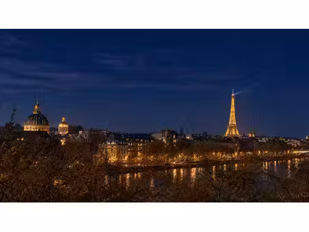 bien d'exception avec vue sur la seine et monuments !