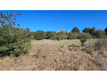 terrain à vendre