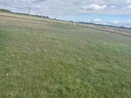 pâture à louer