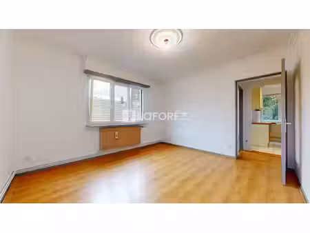 schiltigheim roseraie - appartement 3 pièce(s) 54.36 m2  balcon  tram  grenier et cave