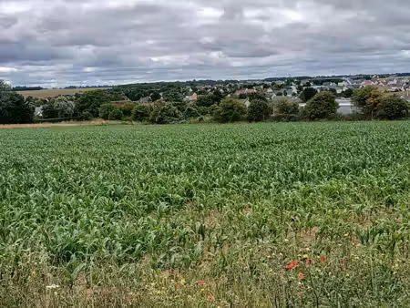 thaon. faire vite  dernier terrain.430 m².95000 €.