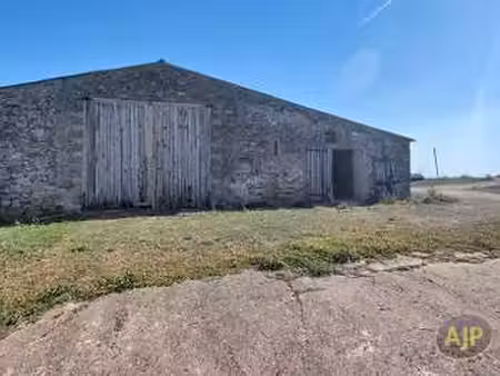 vente maison à vieillevigne (44116) : à vendre / 300m² vieillevigne
