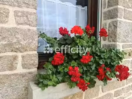 vente maison à val-d'izé (35450) : à vendre / 128m² val-d'izé